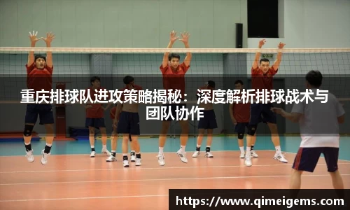 重庆排球队进攻策略揭秘：深度解析排球战术与团队协作